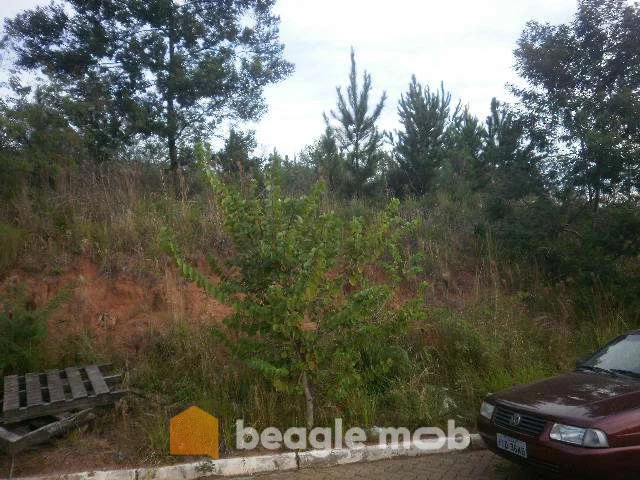 Imagem de Terreno em Pedro José Müller bairro Nossa Senhora De Fátima