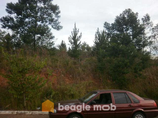 Imagem de Terreno em Pedro José Müller bairro Nossa Senhora De Fátima