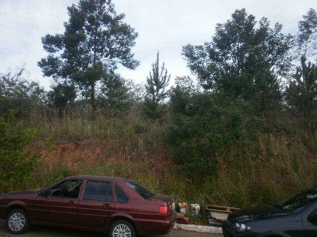 Imagem de Terreno em Pedro José Müller bairro Nossa Senhora De Fátima